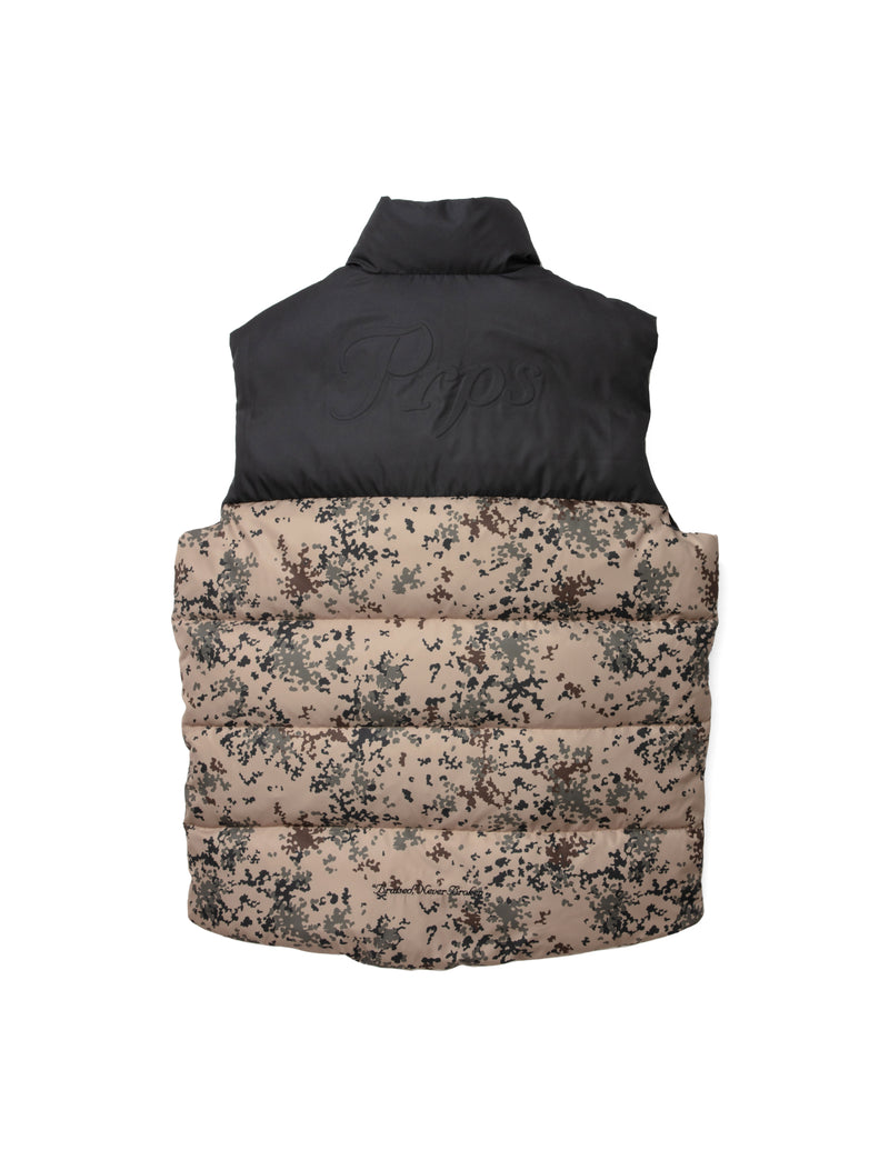 Winter Park Vest